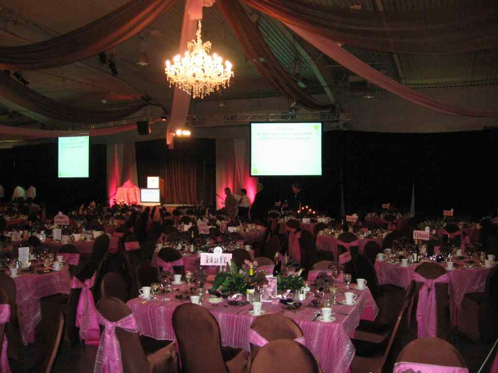 Sanford Childrens Gala